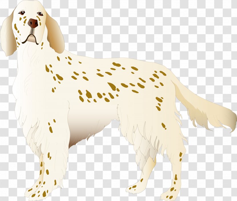 English Setter Puppy Assistance Dog Breed Clip Art - Tail Transparent PNG