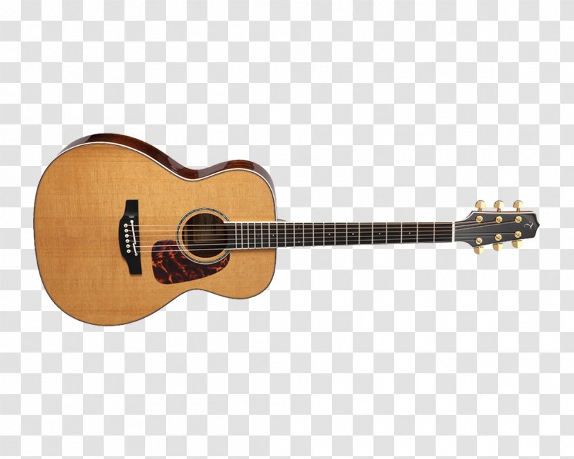 Acoustic-electric Guitar Steel-string Acoustic Takamine Guitars Dreadnought - Watercolor Transparent PNG