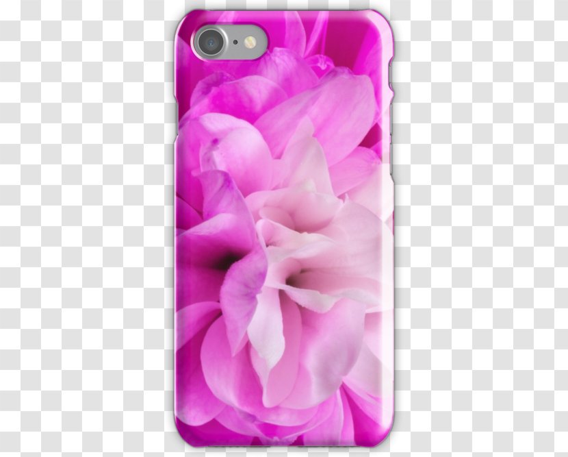 Pink M Mobile Phone Accessories RTV Phones IPhone - Petal - Small Chrysanthemum Transparent PNG