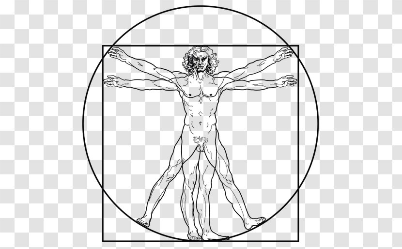 Vitruvian Man The Creation Of Adam Drawing - Tree - Geometria Sagrada Transparent PNG
