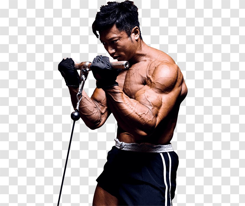 Bodybuilding Physical Fitness Weight Training Personal Trainer Kickboxing - Watercolor Transparent PNG