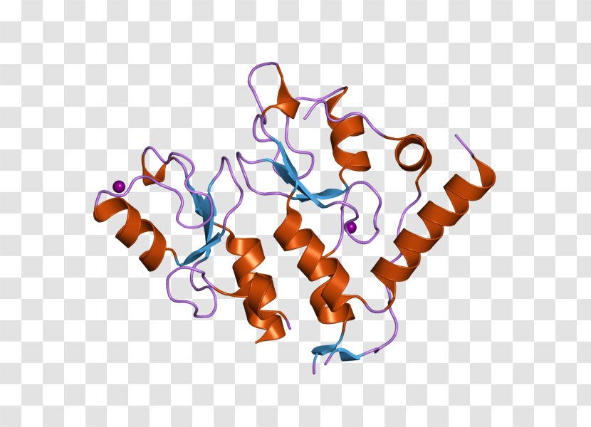 European Bioinformatics Institute BMI1 Protein RNF2 - Haploinsufficiency - Complex Transparent PNG