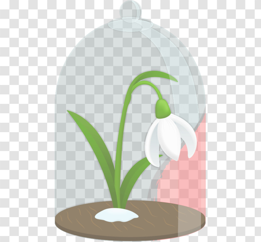 Snowdrop Flowerpot Plant Flower Houseplant Transparent PNG