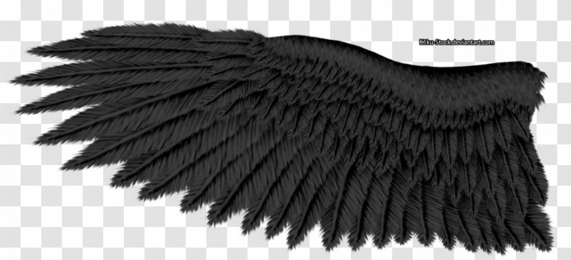 Bald Eagle Wing Tours Golden - Deviantart Transparent PNG
