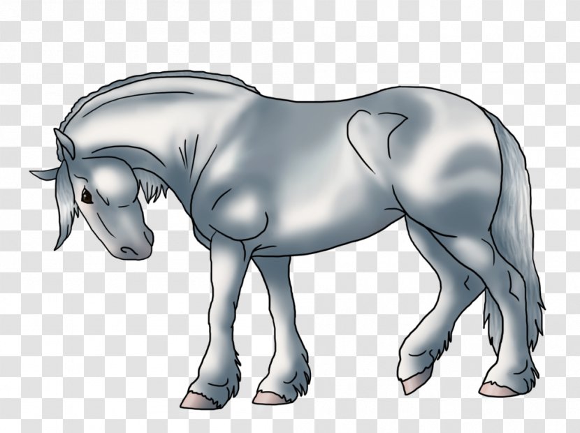 Mane Foal Mustang Stallion Colt - Neck Transparent PNG