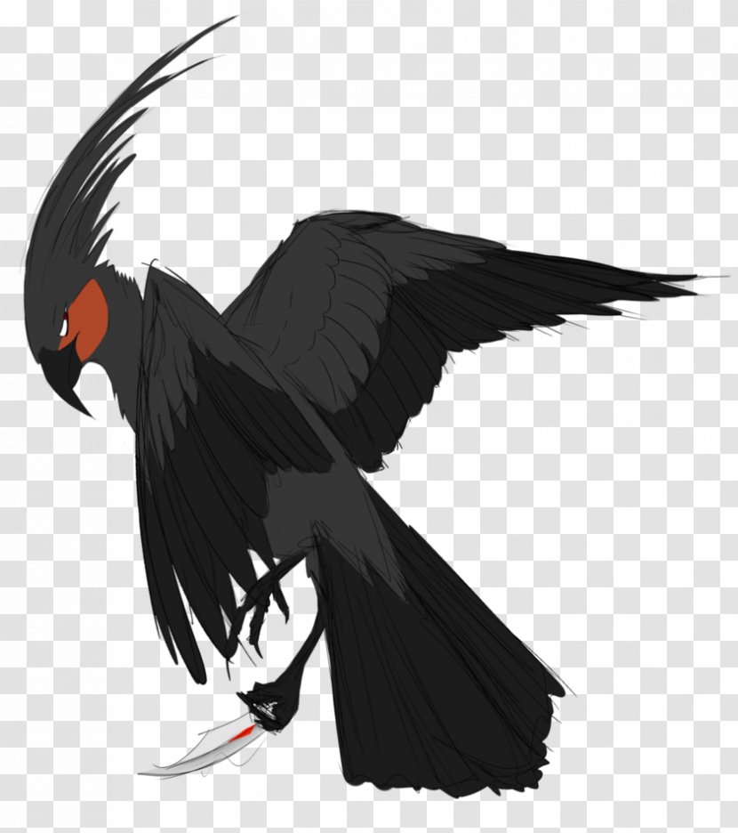Vulture Beak Feather - Bird Of Prey Transparent PNG