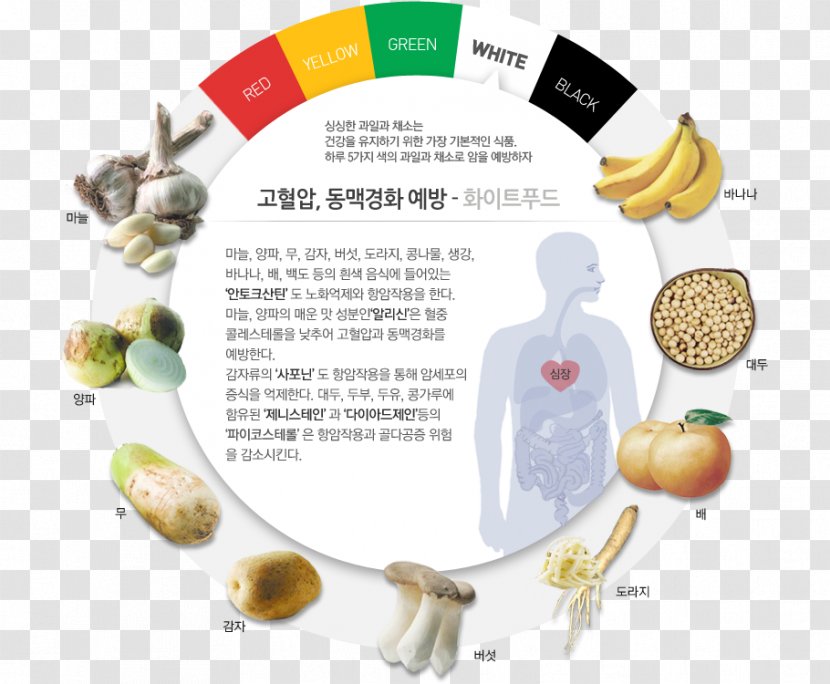 Food Product Design Efficacy Produce - Organism - Colorful Infographic Transparent PNG