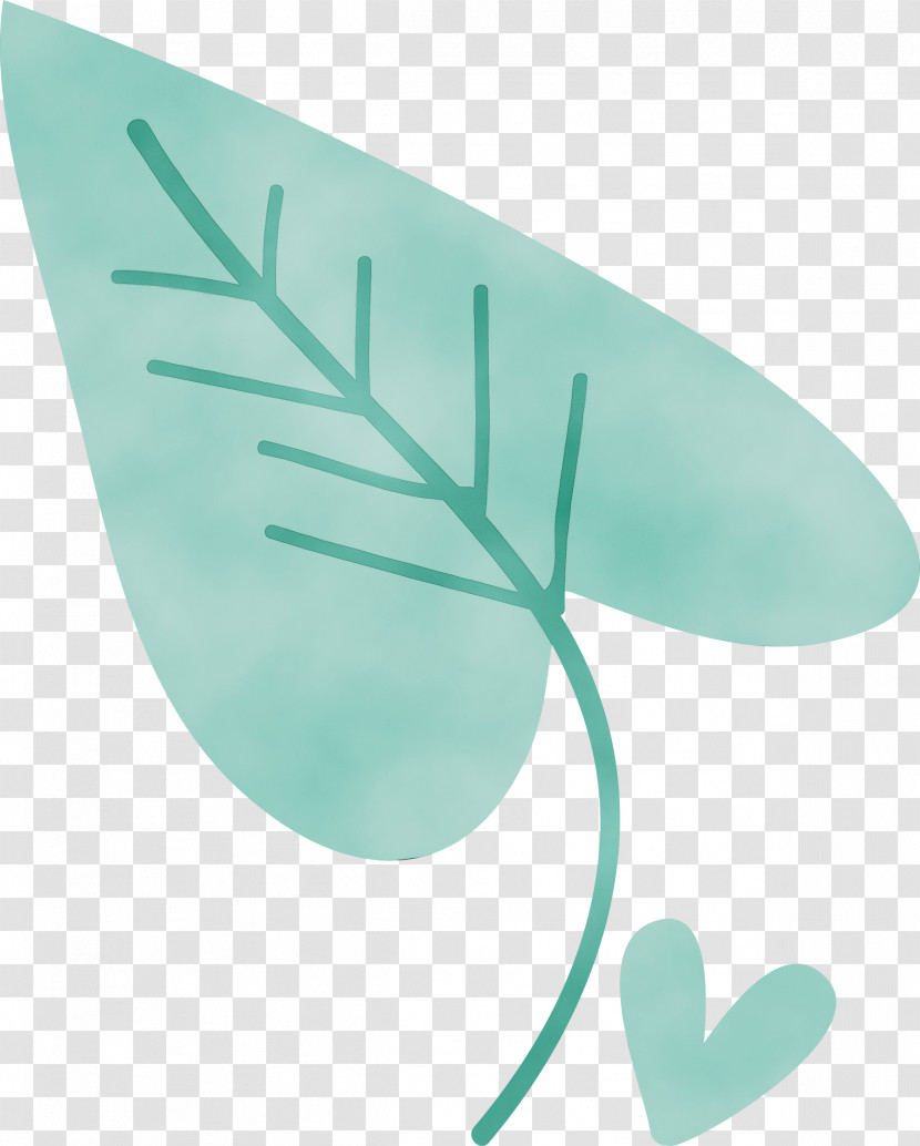 Leaf Turquoise Font Plants Biology Transparent PNG