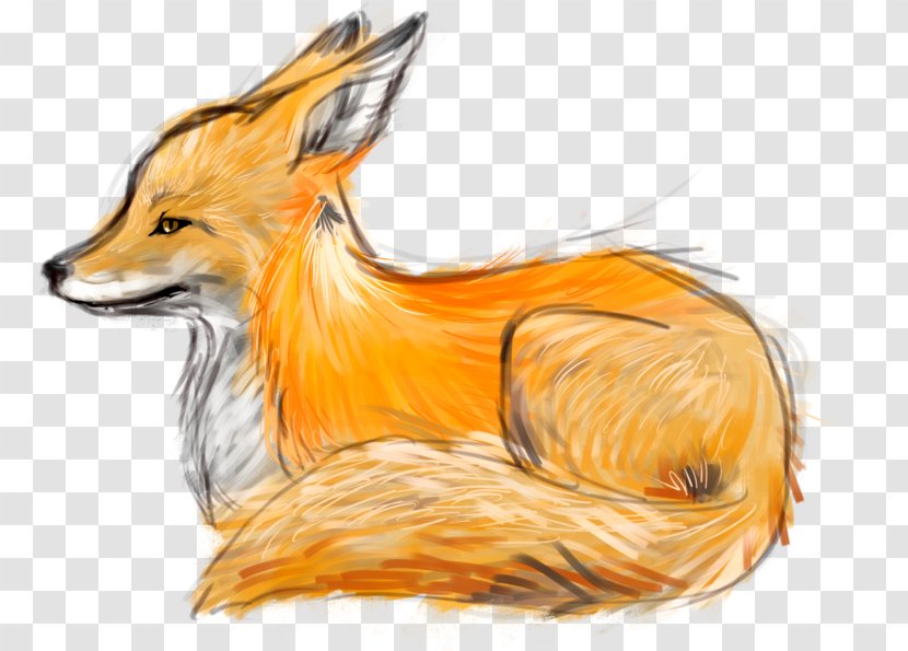 Drawing Fox Art Sketch Wildlife Fennec Transparent Png This tail were made ...