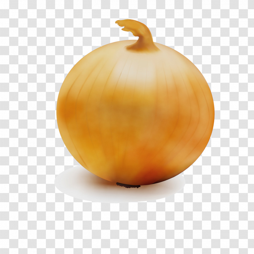 Pumpkin Transparent PNG