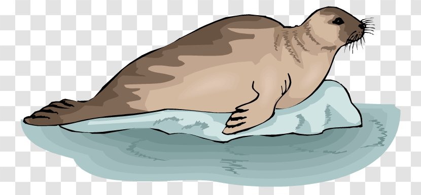 Earless Seal Sea Lion Harp Clip Art - Animal Figure - Free Transparent PNG