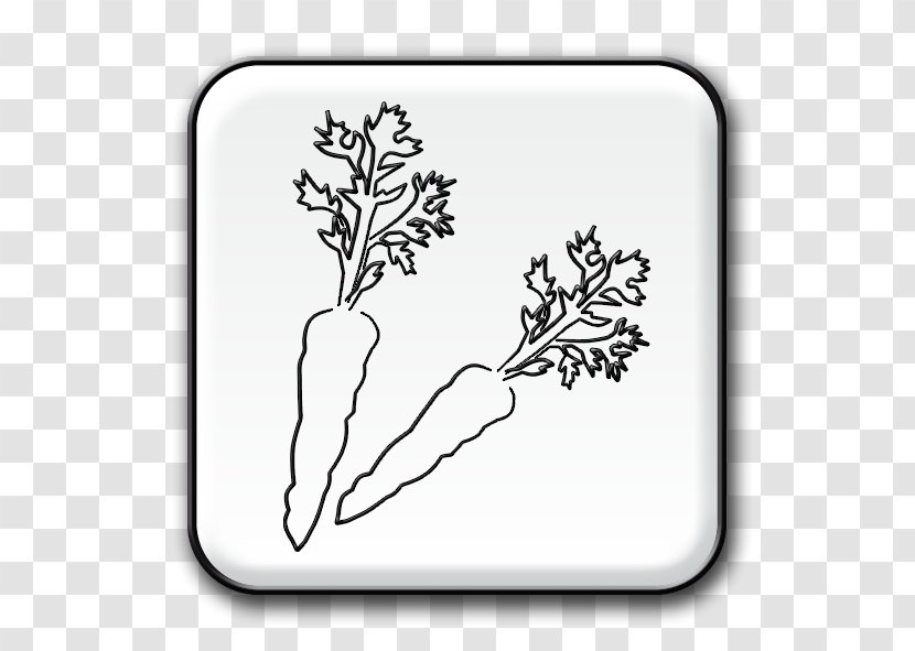 Twig Leaf H&M Flowering Plant Clip Art Transparent PNG