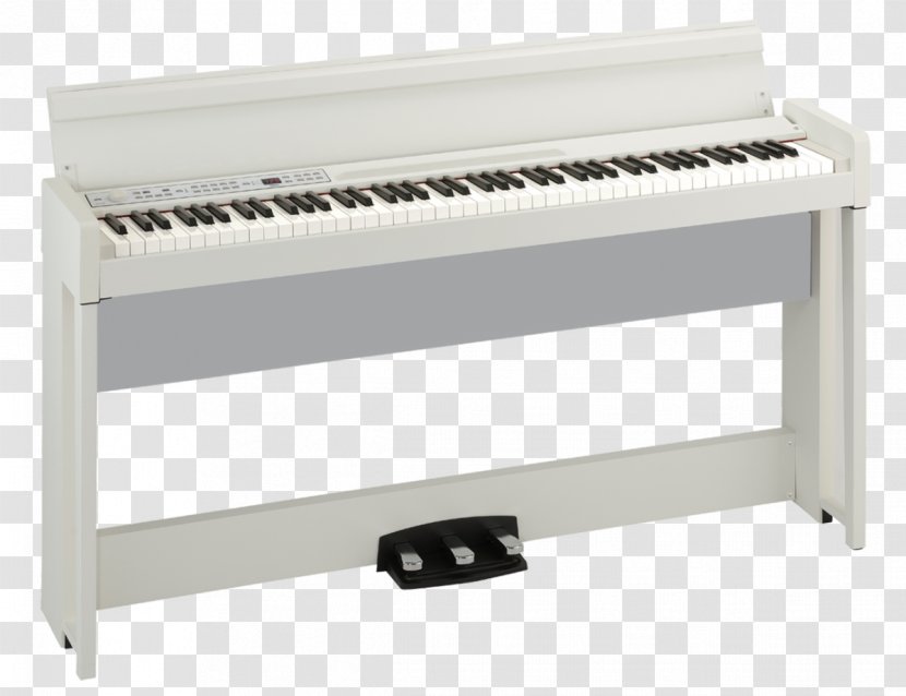 Digital Piano Korg Musical Instruments - Frame Transparent PNG