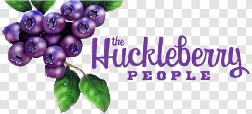 Berries Huckleberry Food Grape - Purple Transparent PNG