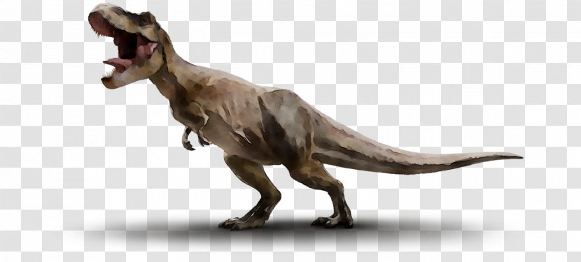 Tyrannosaurus Velociraptor Brachiosaurus Triceratops Stegosaurus - Figurine - Dinosaur Transparent PNG