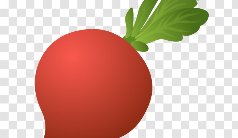 Daikon Beetroot Turnip Vegetable Clip Art - Fruit - Raddish Transparency And Translucency Transparent PNG