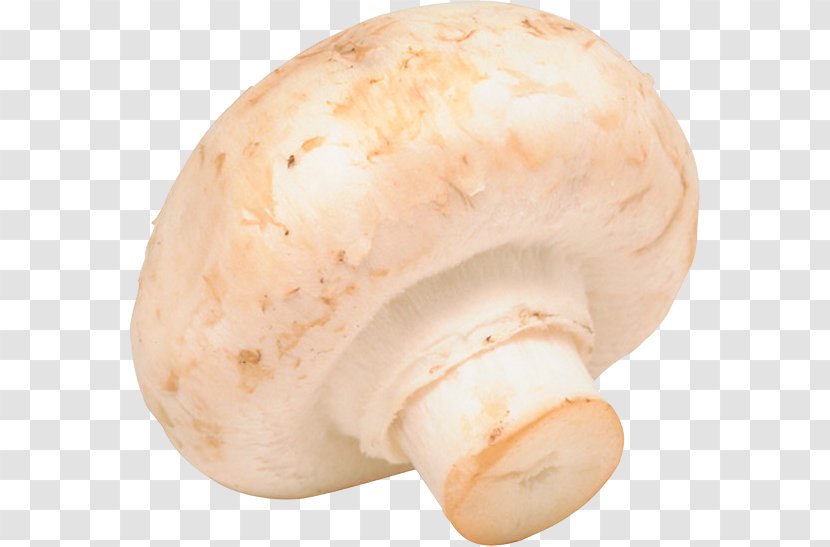 Common Mushroom Fungus Vegetable Market Garden - Champignon Transparent PNG