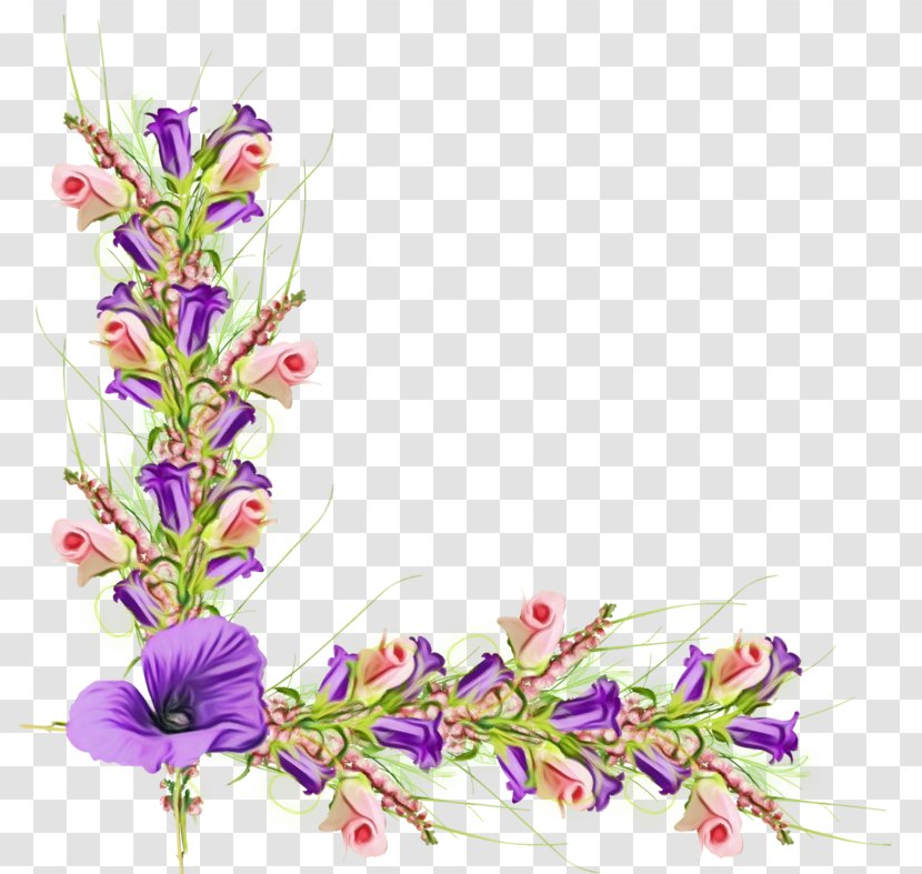 Watercolor Flowers - Borders And Frames - Delphinium Hyssopus Transparent PNG