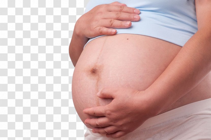 Pregnancy Abdomen Mother Woman - Heart - Pregnant Woman,belly,pregnancy,Mother,Pregnant Transparent PNG