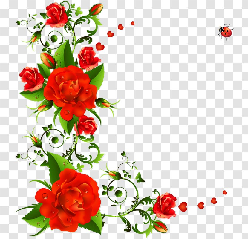 Vector Graphics Clip Art Rose Flower Floral Design - Drawing Transparent PNG