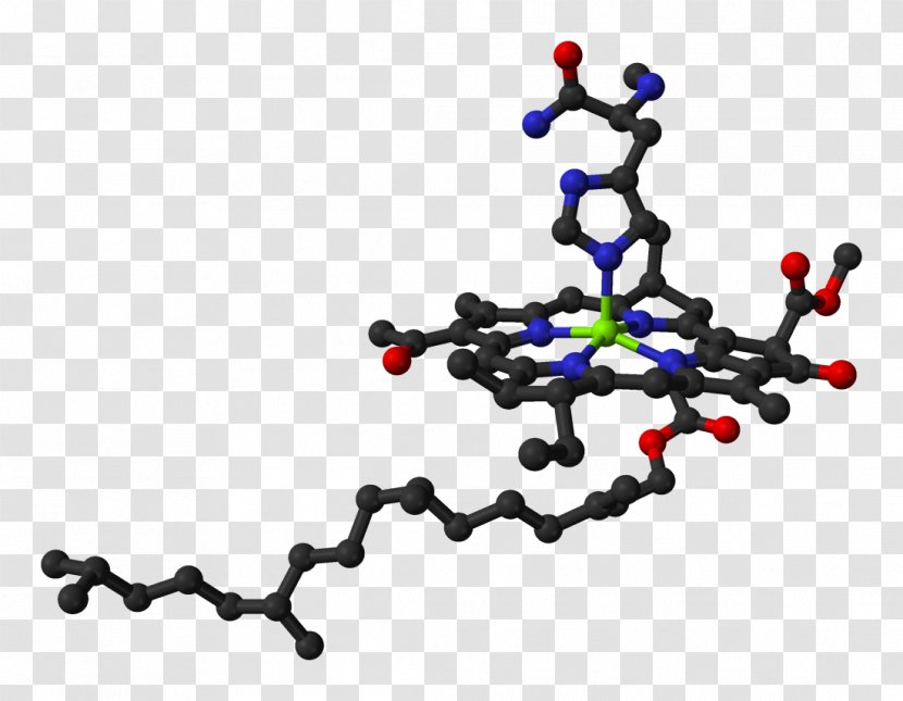 Chlorophyll A Ball-and-stick Model Molecule Chemistry - Silhouette - Cartoon Transparent PNG