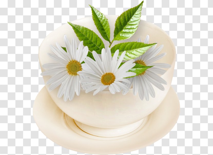 Romashkovoye Greeting Afternoon КМЗ К-1В Cake Decorating - Daisy - Tazas Transparent PNG