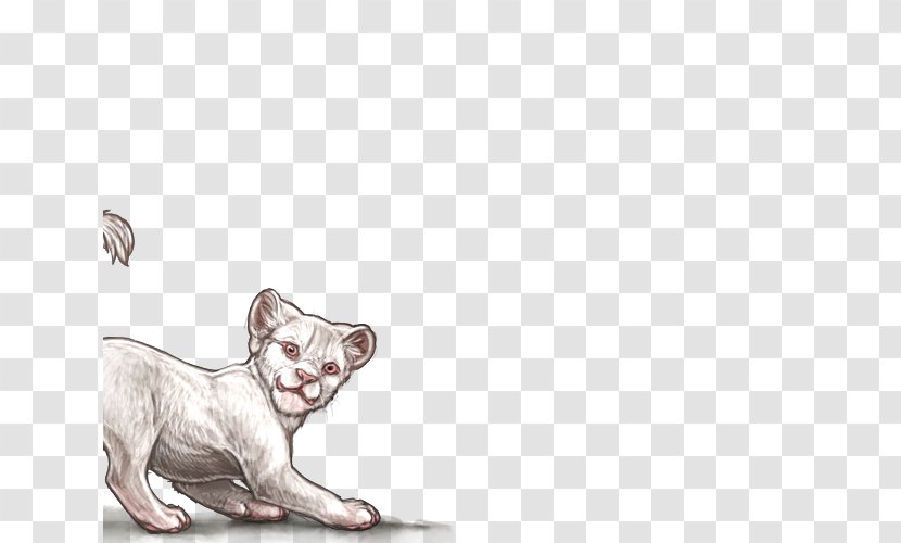 Lion Felidae Cat Dog Kitten - Like Mammal - Gazania Transparent PNG
