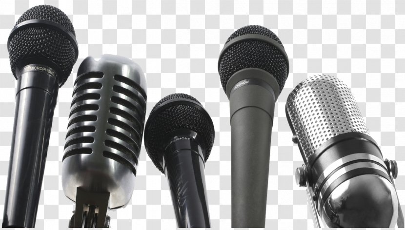 Microphone Interview Sound Journalist Voice-over - Flower - Transparent Images Transparent PNG