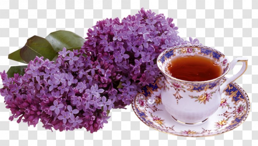 Teacup Coffee Petit Four Lilac - Flower Transparent PNG