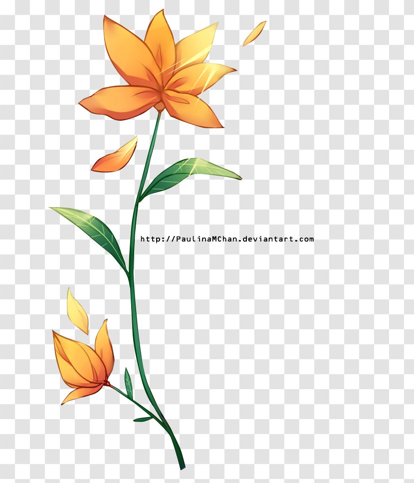 Flower Rendering Floral Design - Leaf - Flor Transparent PNG