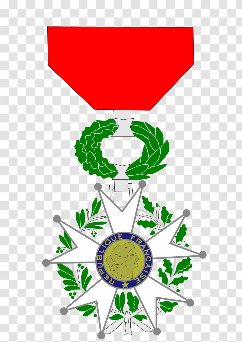 Legion Of Honour Document Clip Art - Flowering Plant - Wiki Transparent PNG