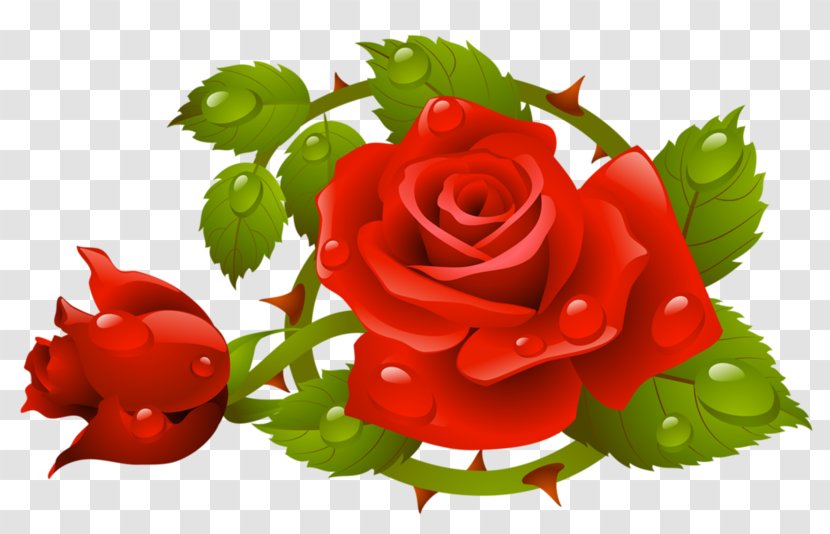 Rose Vector Graphics Stock Photography Clip Art Royalty-free - Plant - Muttertag Psd Transparent PNG