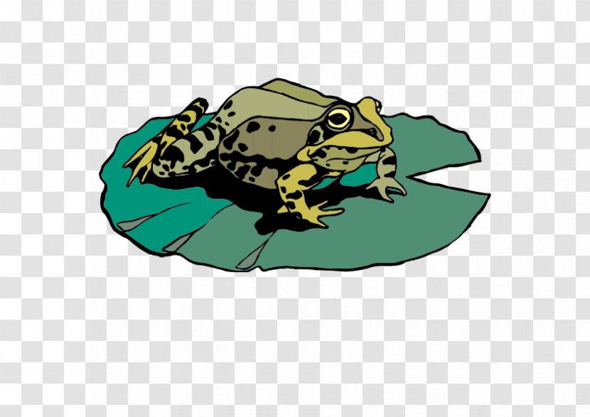 Amphibian Frog Mallard U4e16u754cu91ceu751fu52a8u7269 Duck - Cartoon Transparent PNG
