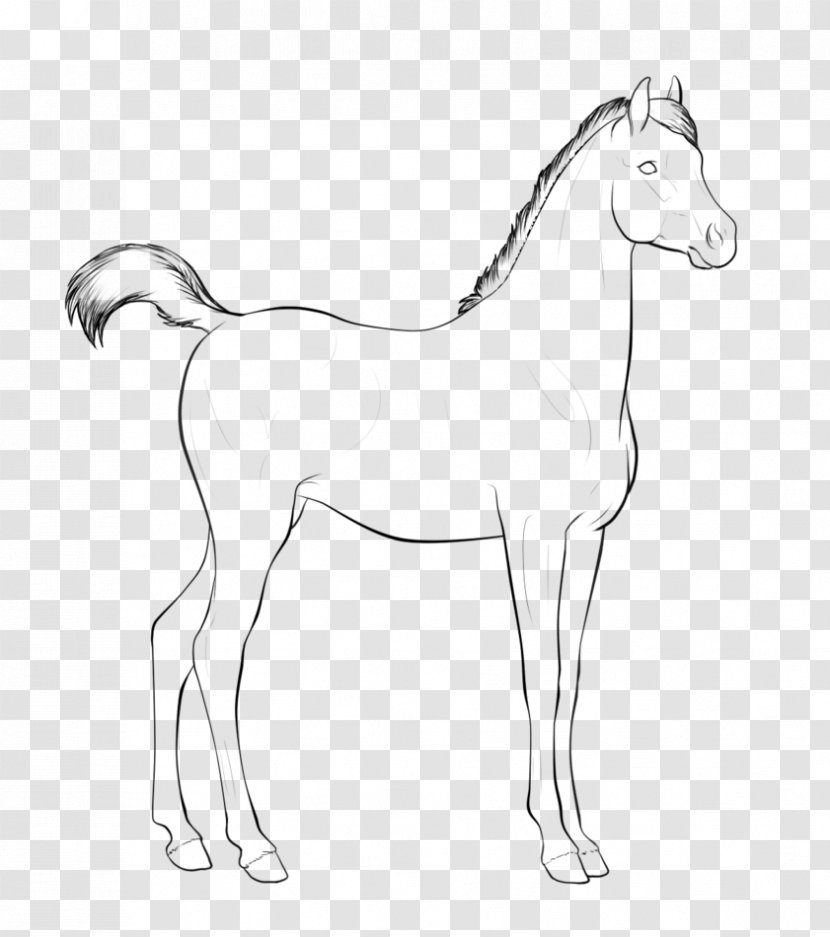 Bridle Foal Mane Mustang Colt - Black And White Transparent PNG