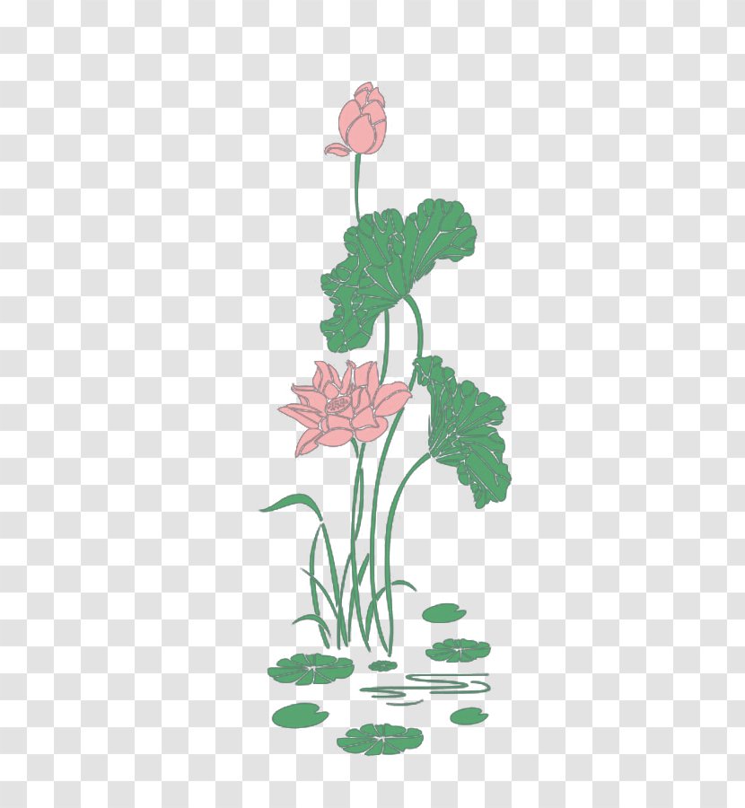 Four Arts Information - Chinese Style Lotus Transparent PNG
