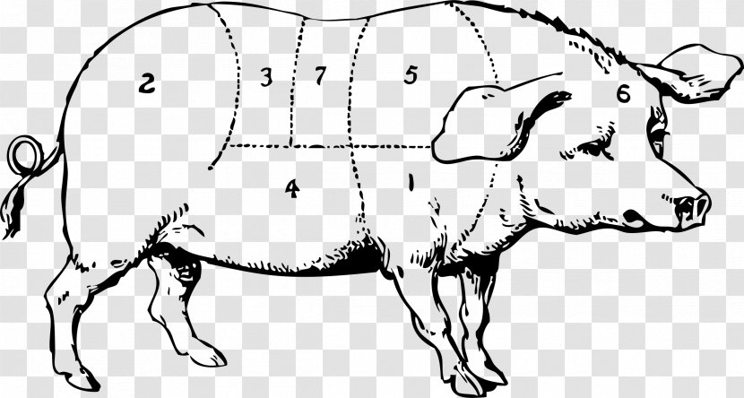 Vietnamese Pot-bellied Large White Pig Drawing Clip Art - Tree - Guinea Transparent PNG