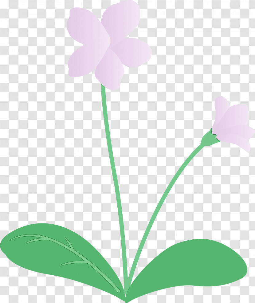 Plant Stem Flower Leaf Petal Green Transparent PNG