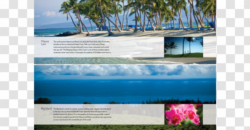 Water Resources Advertising Vacation Tourism Brand - Ocean - Adagency Pamphlet Transparent PNG