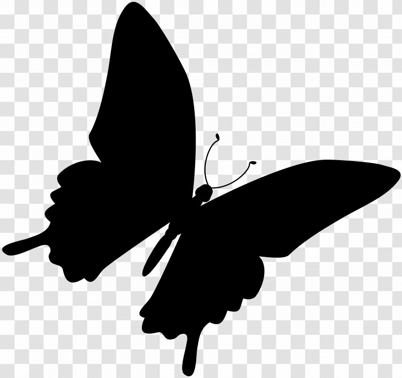 Brush-footed Butterflies Black & White - Plant - M Clip Art Silhouette Transparent PNG