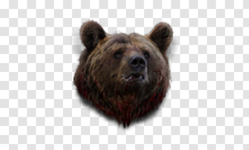 Grizzly Bear Brown Life Is Feudal: Your Own Animal - Grant Macfarlane Transparent PNG