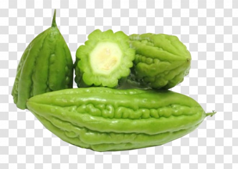 Bitter Melon Vegetable Food Chayote Health - Squash Transparent PNG