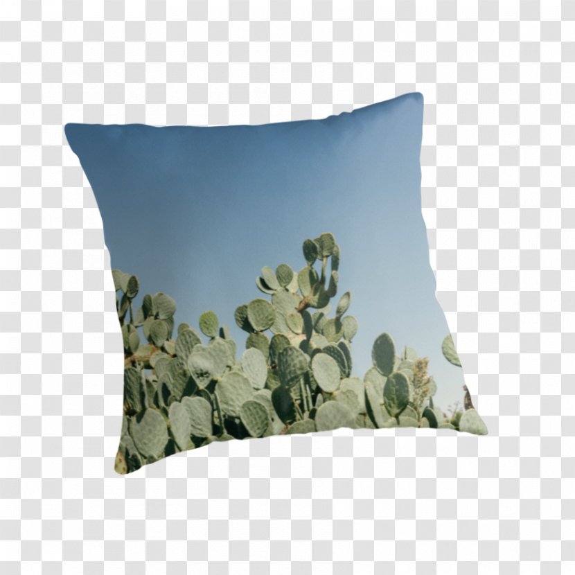 Throw Pillows Cushion - Prickly Pear Transparent PNG