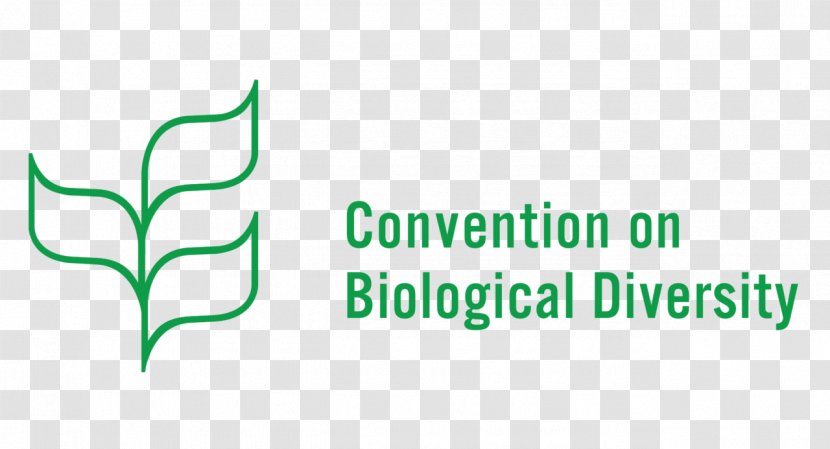 Earth Summit Convention On Biological Diversity Biodiversity Biology Cartagena Protocol Biosafety - Sen Department Of Beautiful Flowers Transparent PNG