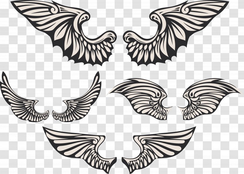 Angel Wing Creativity Feather - Designer - Creative Wings Transparent PNG