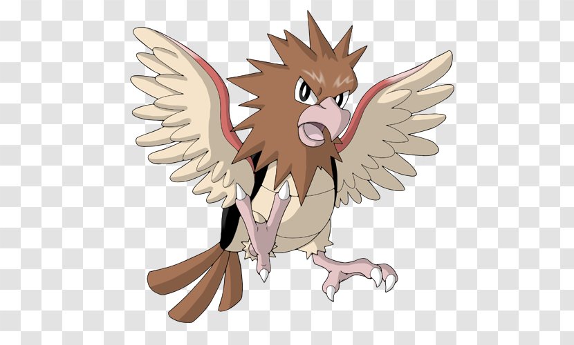 Owl Spearow Fearow Nidoking - Chicken Transparent PNG