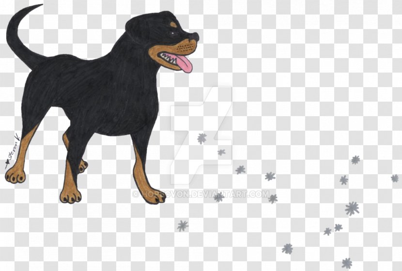 Manchester Terrier Rottweiler Dog Breed Razas Nativas Vulnerables - Rare - Bernese Background Transparent PNG