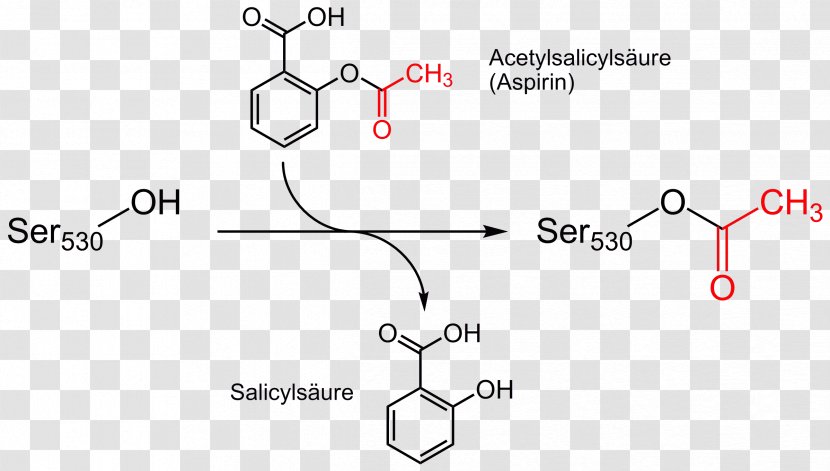 Aspirin Mechanism Of Action Acetylation Arachidonic Acid Salicylic - Flower - Tree Transparent PNG