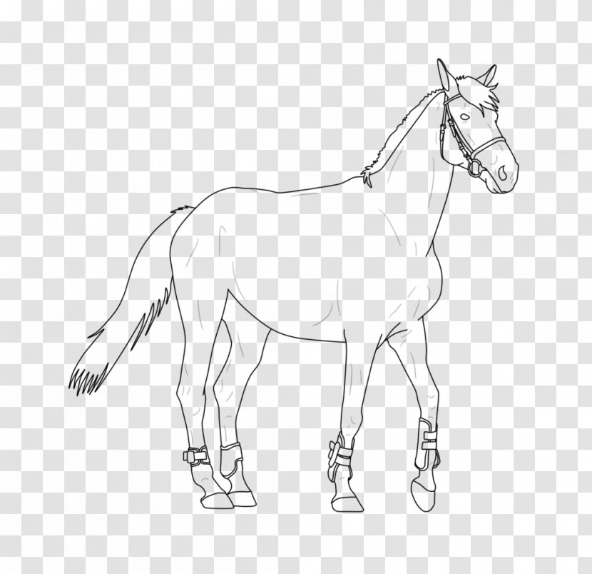 Mule Foal Stallion Bridle Colt - Mustang Transparent PNG