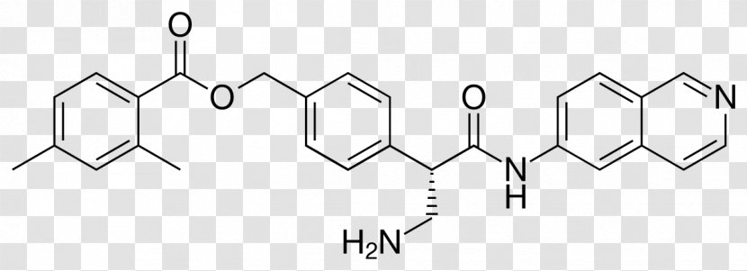 Anthraquinone Redox Nintedanib Peroxide - Cartoon - Frame Transparent PNG