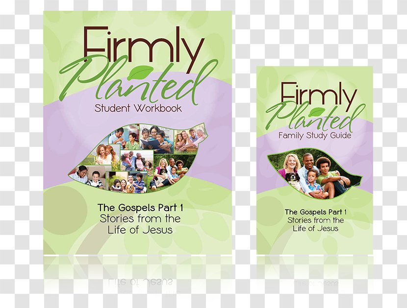 Bible Psalms Sixth And Seventh Books Of Moses Firmly Planted Family Home School Resource Center - Study - Book Transparent PNG